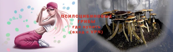 mdpv Белокуриха