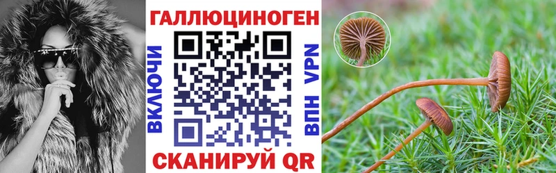 сколько стоит  Надым  Галлюциногенные грибы прущие грибы 